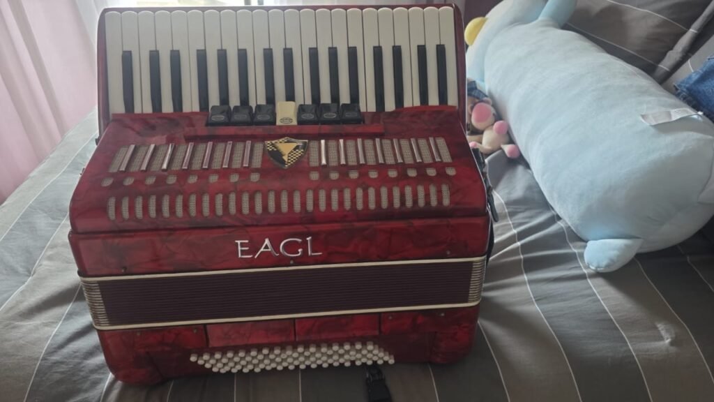 Acordeon 80 Baixos em estado de novo R$2.900 reais