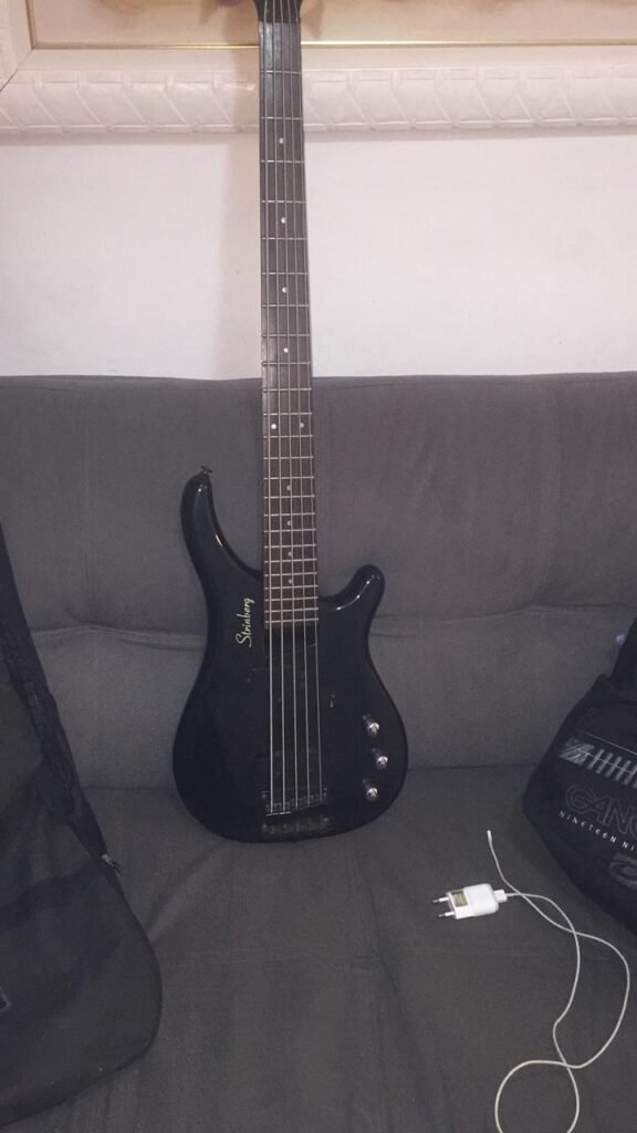 Baixo 5 cordas striberg revisado e afinado com case 2600 reais